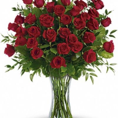 <div class="m-pdp-tabs-description">
<div id="mark-1" class="m-pdp-tabs-marketing-description">

One, two, three! Three dozen spectacularly gorgeous red roses delivered in a dazzling flared glass vase - positive proof that love is a many-splendored thing. Imagine her loving this amazing bouquet day after day. Hero-worshipping time.

</div>
</div>
This impressive bouquet includes 36 red roses accented with assorted greenery. Delivered in a flared glass vase.

<hr />

 