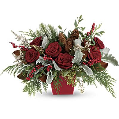 Deck the halls, and table, with this artisanal mix of winter greens, berries and roses, artfully arranged in a tapered red cube.
 

This stunning arrangement features red roses, white calcynia, dusty miller, flat cedar, white pine, noble fir, magnolia leaves, seeded eucalyptus, parvifolia eucalyptus, red berries and pinecones.
Delivered in a red tapered cube.